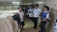 Tampilan Baru Kapal Penumpang Pelni yang Lebih Segar