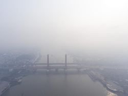 KLHK Segel 5 Perusahaan Biang Kerok Karhutla, Walhi Sumsel: Cabut Izinnya!