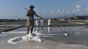 Gegara  El Nino, Harga Garam Turun