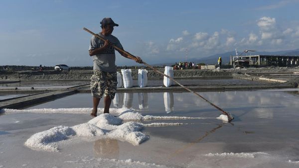 Gegara  El Nino, Harga Garam Turun