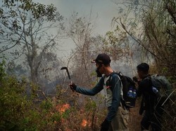 Hutan Bukit Kencur dan Sigiran Mojokerto Terbakar, Jalur Pendakian Ditutup
