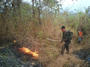 Kebakaran di Bukit Kencur-Sigiran Mojokerto Padam, Pendakian Masih Ditutup Kebakaran di Bukit Kencur-Sigiran Mojokerto Padam, Pendakian Masih Ditutup