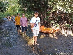 Nelayan di Bali Curhat ke Kaesang: Air Surut-Minta Bikin Kanal Mangrove