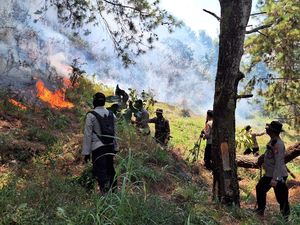 Kebakaran Hutan Gunung Lawu Merembet ke Magetan, TNI-Polri Siaga Kebakaran Hutan Gunung Lawu Merembet ke Magetan, TNI-Polri Siaga