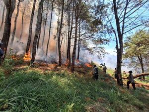 Kebakaran Hutan Gunung Lawu Merembet ke Kawasan Magetan