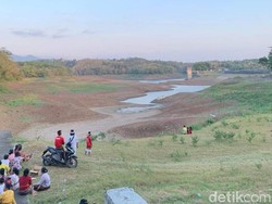 Gawat! Bendungan Palasari Bali Terus Mengering, Ini Penyebabnya