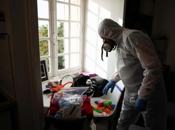 Populasi Kutu Busuk Meledak di Paris, Efek Gigitannya Seserius Ini