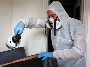 Ngeri! Paris Diserang Kutu Busuk yang Kebal Insektisida, Sulit Diberantas Ngeri! Paris Diserang Kutu Busuk yang Kebal Insektisida, Sulit Diberantas