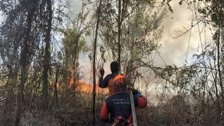 BPBD Kotim: Kualitas Udara di Sampit Kalteng Berstatus Berbahaya