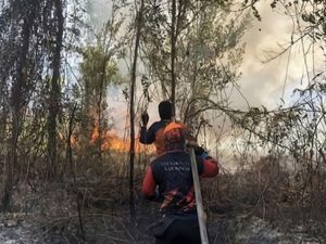 BPBD Kotim: Kualitas Udara di Sampit Kalteng Berstatus Berbahaya