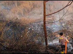 Bukit Dekat Kampung Adat Cireundeu Terbakar Bukit Dekat Kampung Adat Cireundeu Terbakar