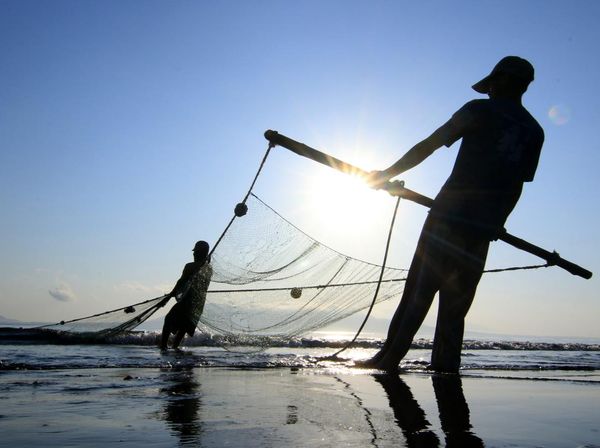 Aksi Nelayan Banyuwangi Tangkap Ikan Pakai Jaring Tarik Pantai