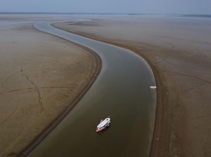 Amazon Merana, Sungainya Mengering-Hutannya Terbakar