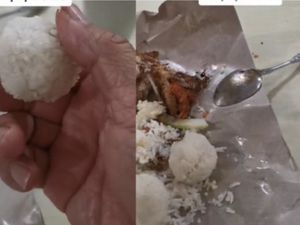 Beli Nasi Lemak, Pria Ini Curiga Dapat Nasi dari Beras Plastik