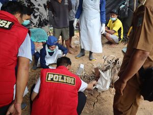Polisi Ekshumasi Jenazah Gadis di Merangin yang Diduga Diracuni Kekasih