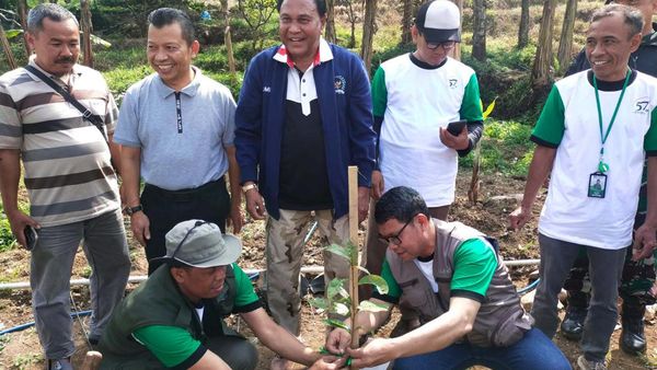 Gerakan Menanam Sejuta Pohon di Pamijahan Bogor