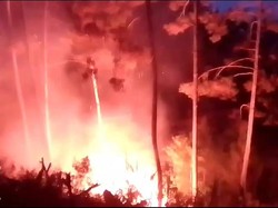 Perjuangan Warga Berjibaku Padamkan Api Membara di Gunung Manglayang