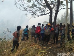 Awas! Kebakaran Hutan Lereng Gunung Agung Mulai Merembet ke Lahan Warga