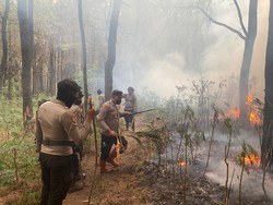 Kebakaran Hutan Gunung Lawu di Ngawi Capai 600 Hektare