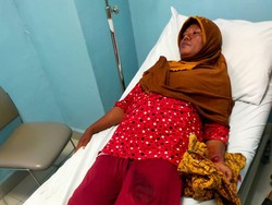 Gagal Kejar Kambing, Komodo di NTT Gigit Warga Lagi Jemur Ikan Depan Rumah