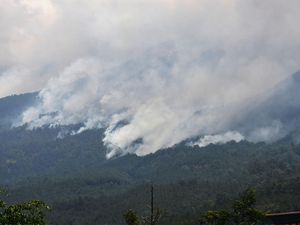 Kebakaran Gunung Lawu Kian Meluas