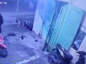 Penampakan Pembunuh Tukang Kusuk di Medan saat Datangi TKP Pembunuhan