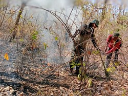 TN Baluran Kembali Dibuka, Petugas Perketat Pengawasan Pengunjung
