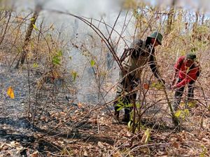 TN Baluran Kembali Dibuka, Petugas Perketat Pengawasan Pengunjung TN Baluran Kembali Dibuka, Petugas Perketat Pengawasan Pengunjung