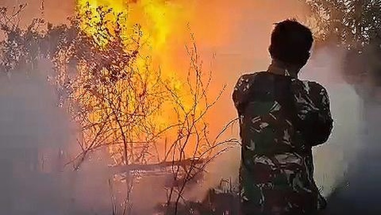 200 Hektare Lahan Taman Nasional Way Kambas Terbakar dalam 2 Bulan
