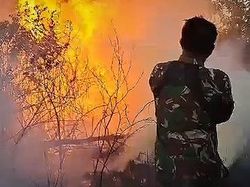 TN Way Kambas Masih Terbakar, Pemadaman Terkendala Sulitnya Medan