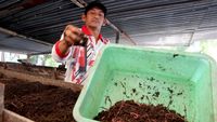 Geli tapi Cuan! Bisnis Cacing Tanah di Jombang