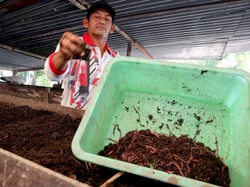 Pengertian Dekomposer, Fungsi, dan Jenisnya