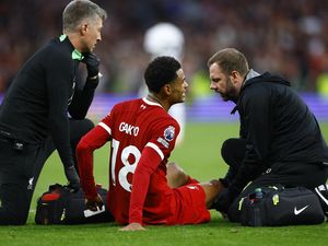 Duh! Gakpo Cedera, Terancam Absen Beberapa Pekan Duh! Gakpo Cedera, Terancam Absen Beberapa Pekan