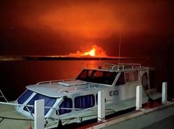 Dunia Hari Ini: Kebakaran Hutan Melanda Sejumlah Negara Bagian di Australia