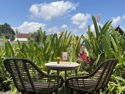 Satu Lagi Kafe Instagramable di Bali, Plus Pemandangan Sawah Asri