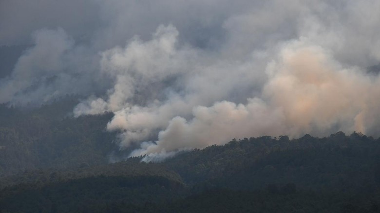 Rawan Kebakaran,Titik Hotspot di Sumsel Capai 11.000 Lebih