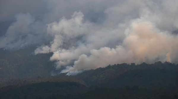 Kebakaran Hutan Gunung Lawu Capai 1.100 Hektare