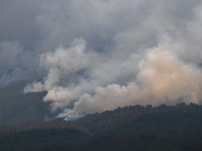 Kebakaran Hutan Gunung Lawu Capai 1.100 Hektare