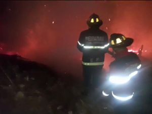 Kebakaran Lahan Ancam Gedung Kebudayaan di Subang Kebakaran Lahan Ancam Gedung Kebudayaan di Subang