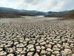 BMKG Keluarkan Peringatan Dini Bencana Kekeringan di Bali