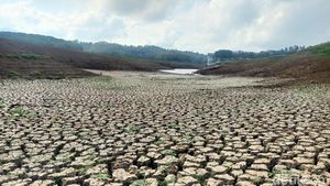 Potret Horor Bendungan Palasari di Jembrana yang Haus karena Kekeringan