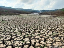 Kondisi Terkini Bendungan Palasari Bali yang Terus Mengering