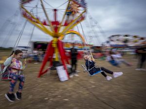 Potret Festival Titu, Pelipur Lara Warga Miskin Rumania