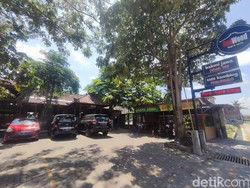 RedWood Coffee, Kafe di Tengah Sawah Milik Pensiunan Pilot Tempur