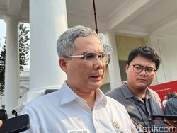 RI Impor Jagung 500.000 Ton Tahun Ini, buat Apa?