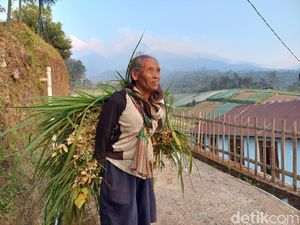 Kebakaran Lawu Merembet ke Karanganyar, Warga Jenawi Beraktivitas Normal Kebakaran Lawu Merembet ke Karanganyar, Warga Jenawi Beraktivitas Normal