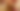Foto: Site News/Visual