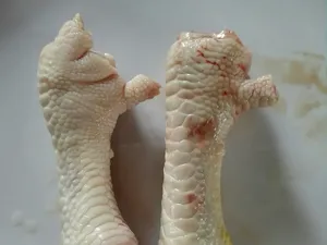 Wanita Ini Batal Bikin Tomyam karena Penjual Potong Ceker Ayam Sampai Gundul