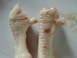 Wanita Ini Batal Bikin Tomyam karena Penjual Potong Ceker Ayam Sampai Gundul