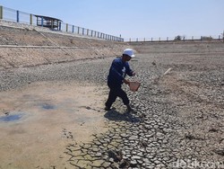 Susah Payah Warga Kais Air di Embung Tondokerto Pati yang Kering Kerontang